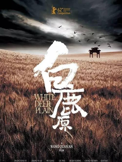 做假巴西护照扫描件